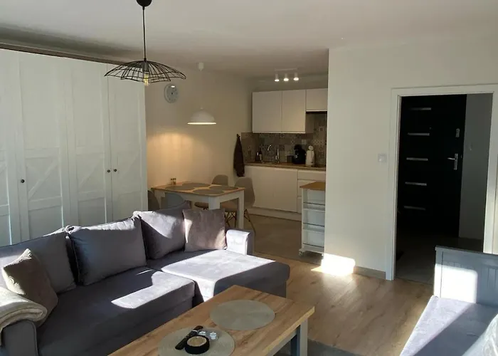 Apartament Promyk